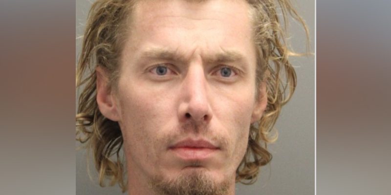 Seaford Man Caught in Stolen Vehicle After Police Pursuit