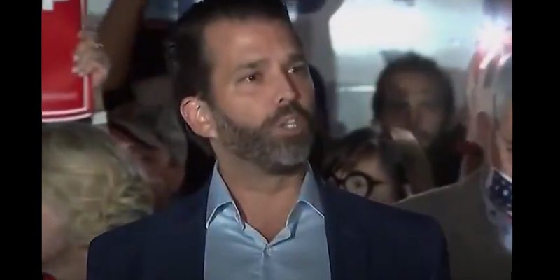 Donald Trump, Jr. Says it's Time for Spineless Republicans to Fight Back to Ensure Election Fairness
