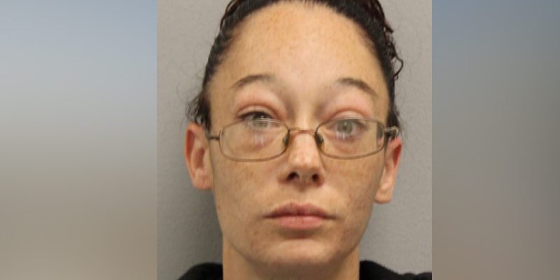 Sordid Tale in Millsboro Motel Room Ends with Woman's Arrest, Assault Suspect on the Run