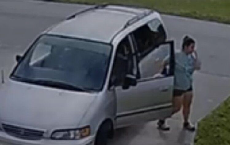 Watch: Police in Cape Coral be askin' if ye know this porch piratess