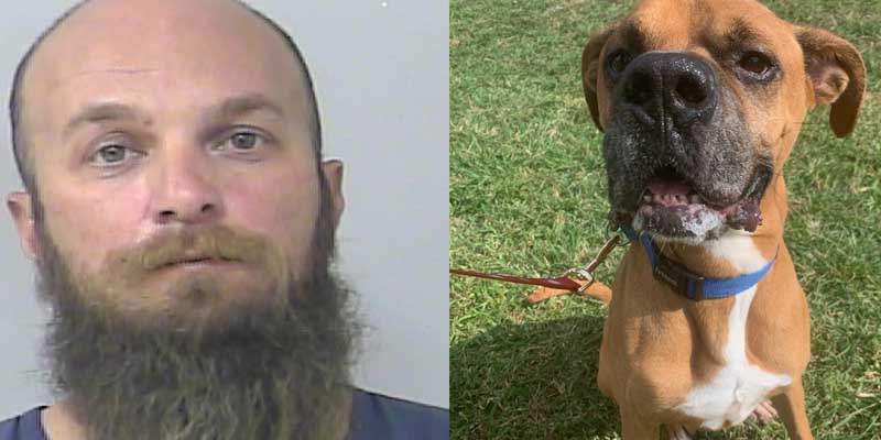 Port St. Lucie man charged for animal cruelty for neglecting his dog Rocky