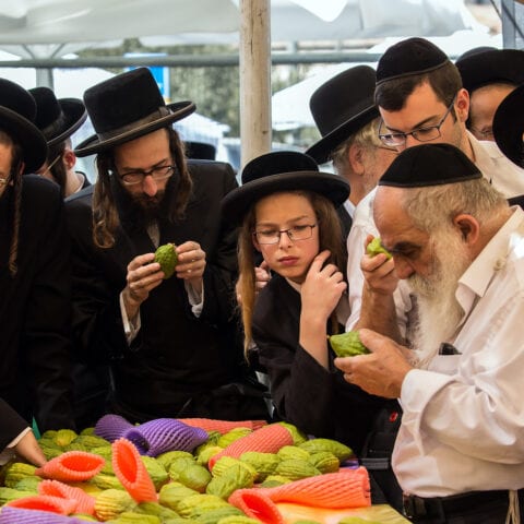 Source: assemblyman mcguckin's $15,000 covid-19 gathering fine created to stop lakewood jews - photo licensed by shore news network.