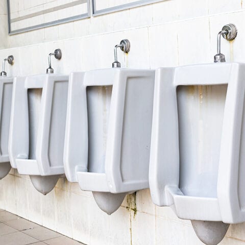 School board that banned urinals changes mind after students protest - photo licensed by shore news network.