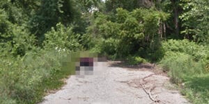 Headless body with hands, feet missing found at baltimore dead end