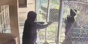Watch: fedex driver ambushed, shot in brooklyn