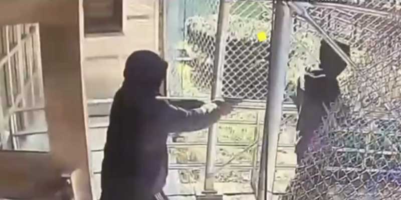 Watch: FedEx driver ambushed, shot in Brooklyn