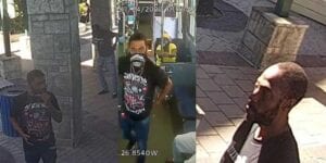 These tampa thugs followed 61-year-old woman off bus, beat her, stole purse