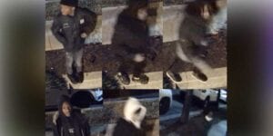 D. C. Police looking to id these accused carjackers