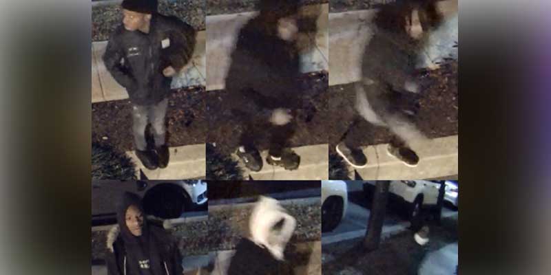 D.C. police looking to ID these accused carjackers