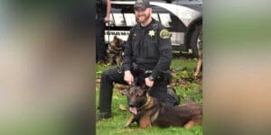Snohomish county k-9 helps deputies capture fleeing perp