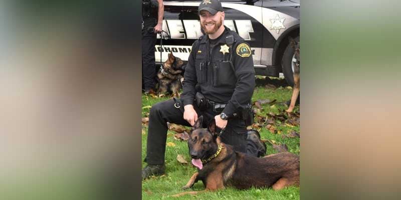 Snohomish County K-9 helps deputies capture fleeing perp