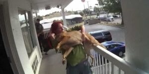 Police arrest drugged out woman who threw dog from 2nd floor balcony in daytona beach