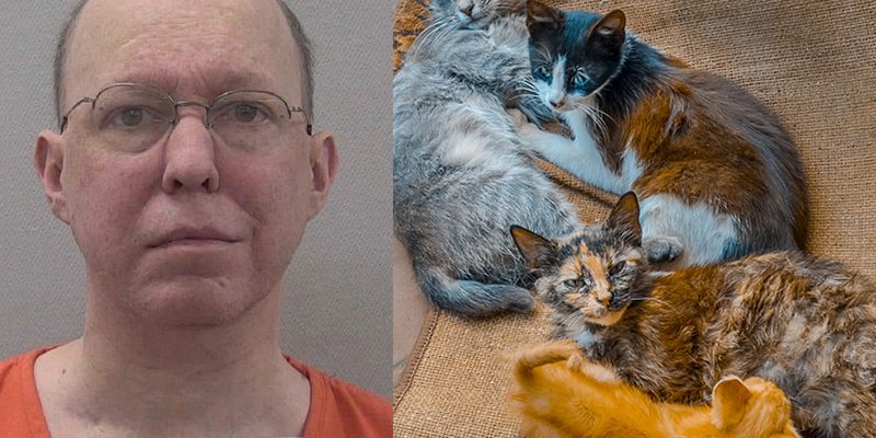 Lexington man shot, killed woman because she was feeding feral cats at shopping center