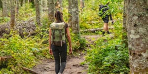 Haines positions open space trust fund as future political slush fund