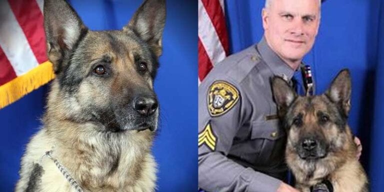 Toms river police department says farewell to k-9 boris - photo licensed by shore news network.