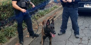Courageous k-9 apprehends man who murdered woman inside marietta mexican restaurant