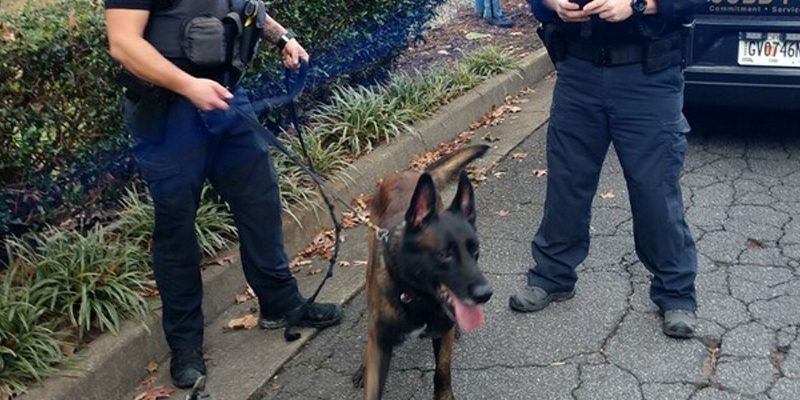 Courageous K-9 Apprehends Man Who Murdered Woman Inside Marietta Mexican Restaurant