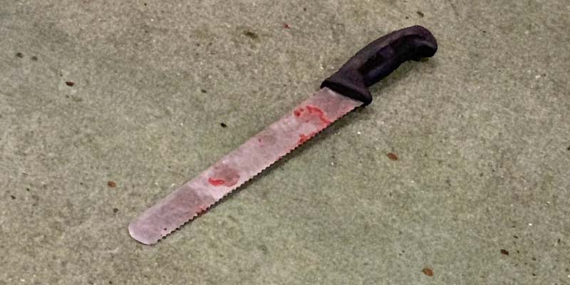 Teenager charged for stabbing siblings dozens of times on playground