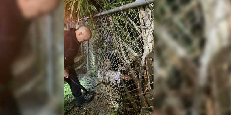 74-year-old man hunting for softballs rescued from woods