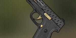 Winnfield man gets 3 years for stealing guns