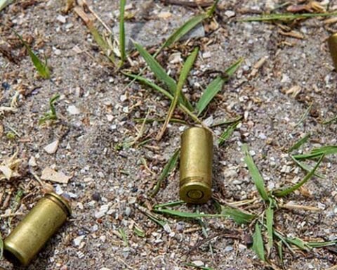 shell casings