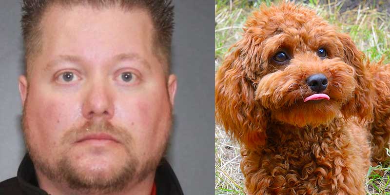 Green Island man kicked, killed toy poodle, charged for animal cruelty