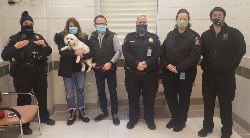 Watch: Man who stole car with dog inside arrested when he tried to bring "stray dog" to pound