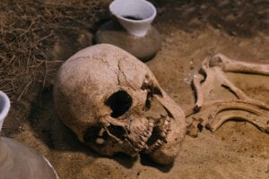 Yellowstone treasure hunter pleads guilty to digging up cemetery looking for buried treasure