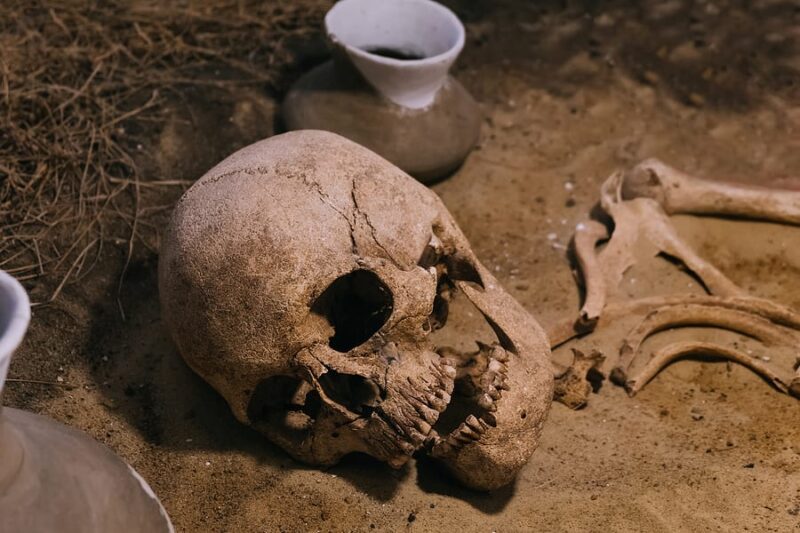 Yellowstone treasure hunter pleads guilty to digging up cemetery looking for buried treasure