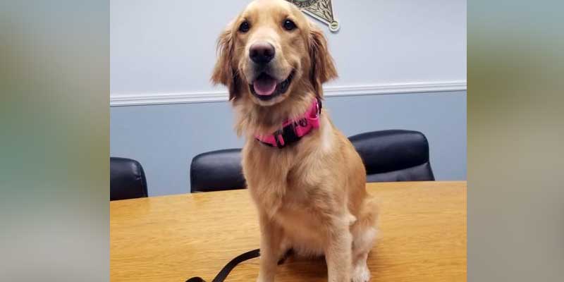 Police dog sniffs out Miami drug runner supplying cocaine to the Florida Keys