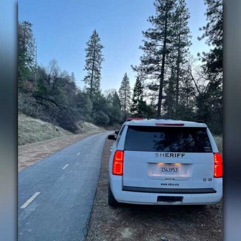 Deputy shot and killed mountain lion stalking family on california bike trail - photo licensed by shore news network.