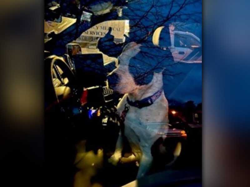 Off Duty Manchester Police Officer Locates Endangered, Missing 78-Year-Old Man