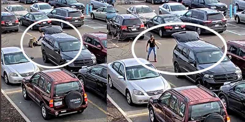 Columbus woman attacked and robbed while loading groceries into car in Kroger's lot