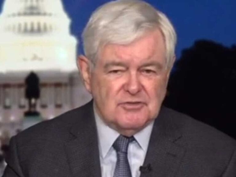 Gingrich: reality is about to crush democrats’ midterm dreams - photo licensed by shore news network.