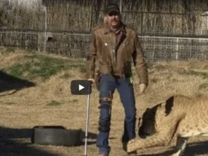 New owner of Tiger Kings Joe Exotics Animal Park Ordered to Give Back Lion and Her Cubs