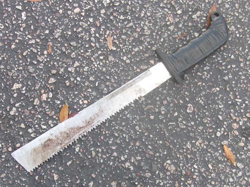Machete-Wielding Suspect Charged for Terroristic Threats at Wilmington Park and Ride