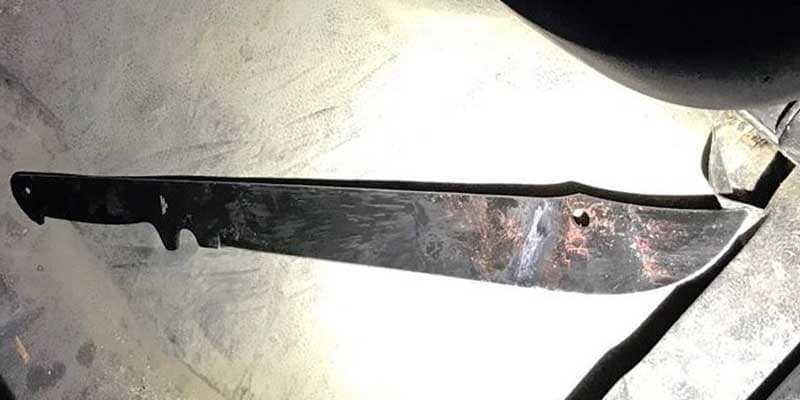 Machete wielding man shot, killed by New York cops after attacking, slashing woman and her dog