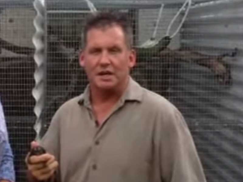 Monkey Whisperer Charged for Witness Tampering