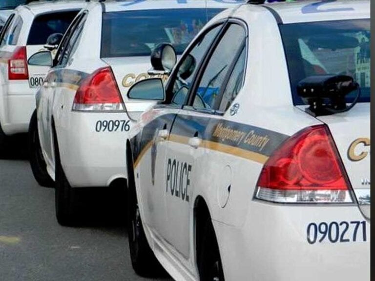 One arrested after police find gun, weed during routine traffic stop - photo licensed by shore news network.