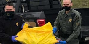Police salvage 700 pound moose hit by car, feed those in need in community