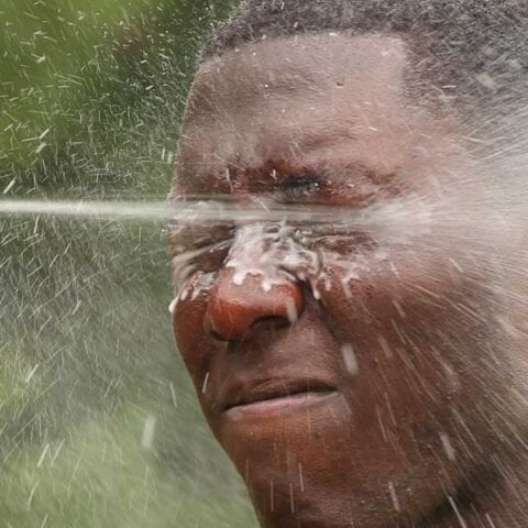 Portland mayor pepper sprayed resident for not wearing face mask - photo licensed by shore news network.