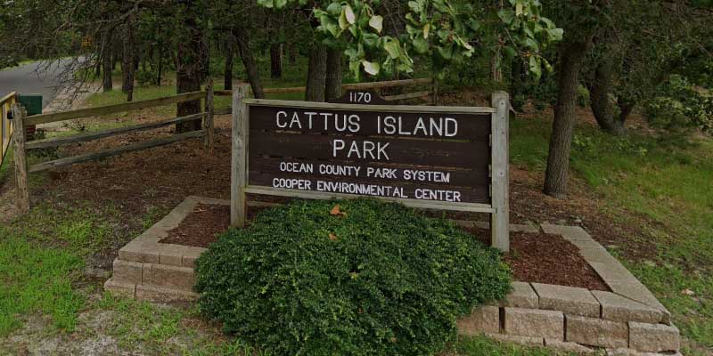 Ocean County parks now accepting Christmas trees