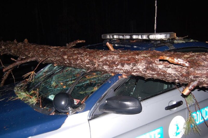Virginia police officer's car crushed by tree while investigating fallen tree