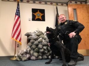 Cops seize 46 pounds of marijuana valued at $55,000 during routine traffic stop