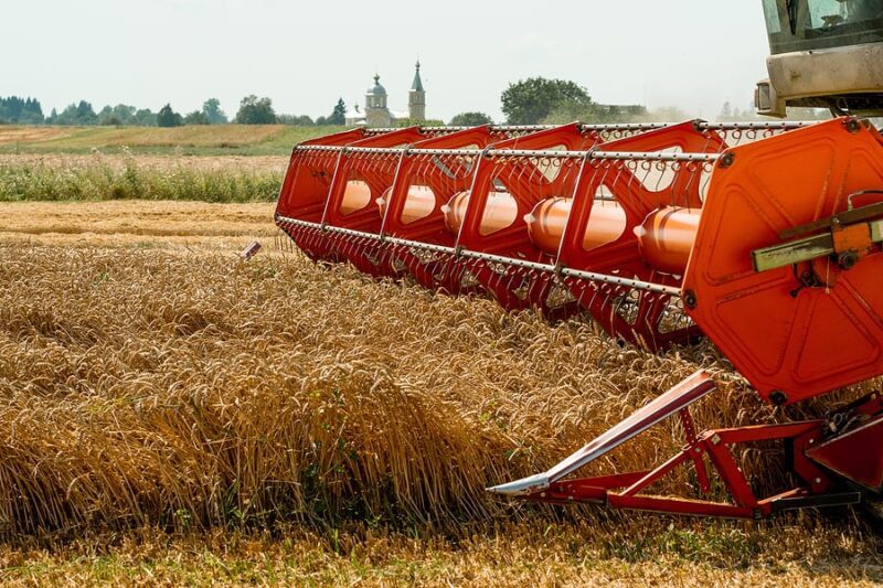 "Organic" Grain Seller Scammed Buyers out of $15m Misrepresenting Non-Organic Grain Sales