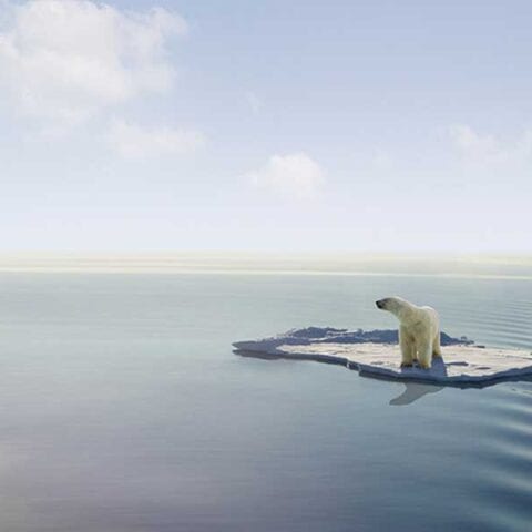 White house says climate crisis is more important than rising energy costs to americans - photo licensed by shore news network.