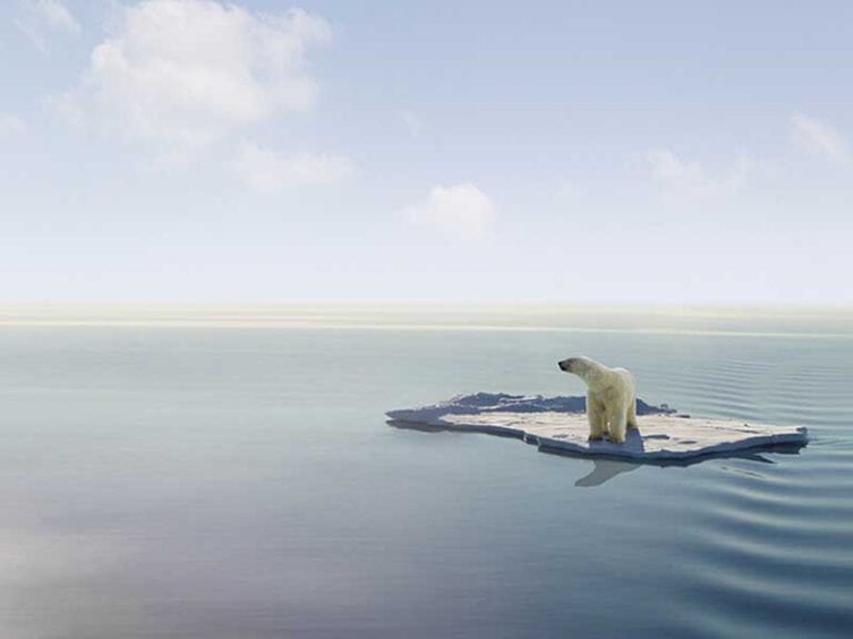 Climate activists refuse to speak at dc statehood rally because jewish groups will attend - photo licensed by shore news network.