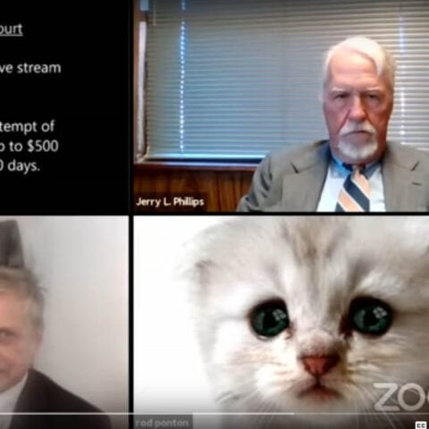 "i'm not a cat! " lawyer tells judge in zoom court - photo licensed by shore news network.