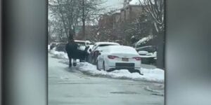 Nothing to see here except police chasing horses through the streets of brooklyn