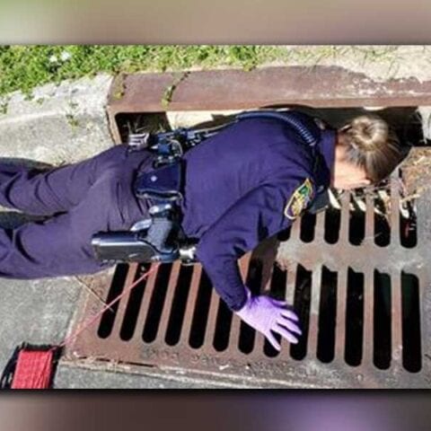 Sheriff's officer lays down in the gutter to rescue adorably cute kitten as water was rising quickly - photo licensed by shore news network.